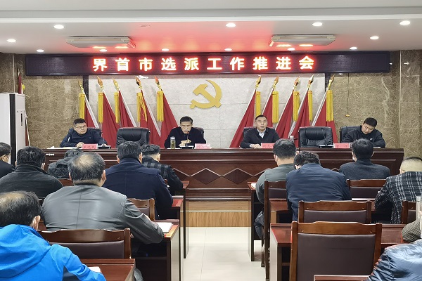 界首市召开选派工作推进会