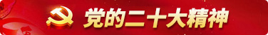 党的二十大