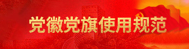 党徽党旗使用